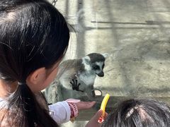 -水上乐园·欢乐世界