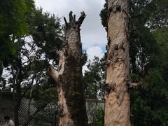 -昆明市金殿名胜区