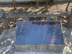 -上海佘山国家森林公园天马山园