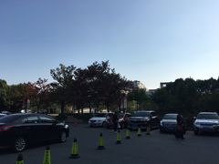 -上海中医药大学附属曙光医院(东部)