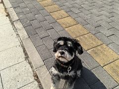 -博特宠物医院24h犬猫全科.骨科·异宠