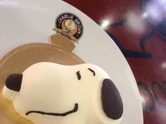 -史努比缤纷世界