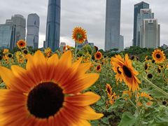 -海心沙亚运公园