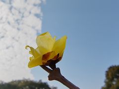 -无锡梅园公园