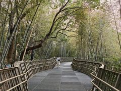 -福道