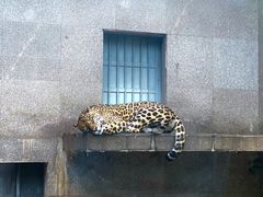 -西安秦岭野生动物园