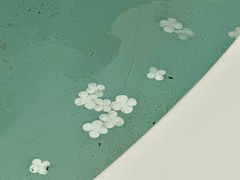 -深圳湾万象城(南山店)