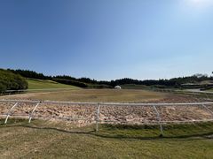 -迪茵湖田家舍生态农场
