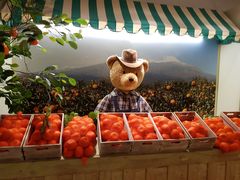 -济州岛泰迪熊博物馆