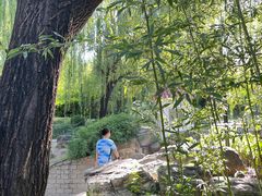 -皇家御河游(紫御湾码头)