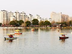 -大宁公园