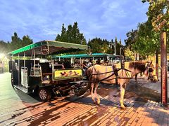 -天津五大道文化旅游区