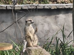 -杭州动物园