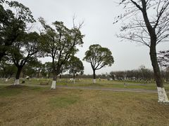 -阳澄湖半岛旅游度假区