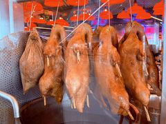 -陈鹏鹏潮汕菜(机场卫星厅·561登机口店)