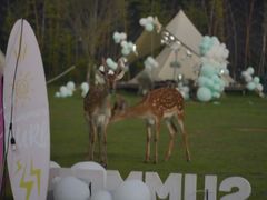 -不觉晓CAMPING(上海迪士尼营地店)