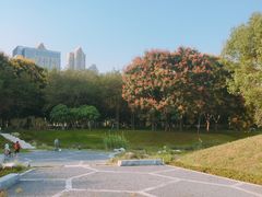 -后襄河公园
