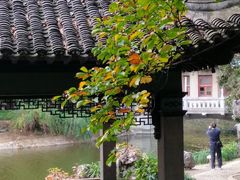 -叶家花园