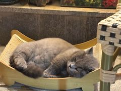 -老回回小吃(百万庄店)