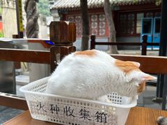 -潭柘寺景区