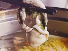 深海黄金蚝-千岛蚝高压锅生蚝·人参火锅(白云万达店)