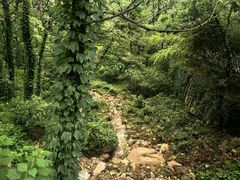 -竹子庵公园