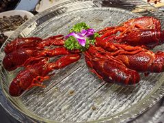-京悦南门涮羊肉·羊蝎子火锅(田林路店)