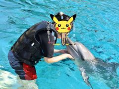 -新加坡水上探险乐园