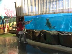 -常州海昌海洋探索馆