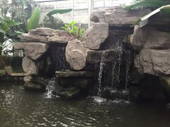 -汤山翠谷生态餐厅