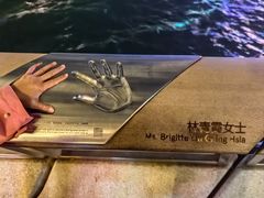 -星光大道