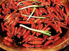 -辣伍鲜毛肚老火锅(元一店)
