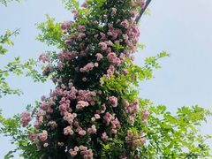 -尚贤河湿地