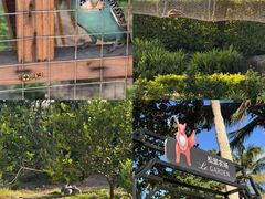 -石梅湾艾美度假酒店