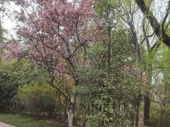 -城市运动公园(未央区)
