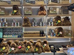 -巧克玩家·城市伴手礼(in88银泰店)