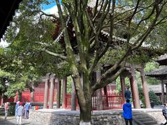 -报恩寺(平武县)