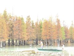 -白鹭湾湿地公园