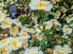 -农园餐厅(北京大学店)