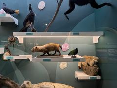 -国家自然博物馆