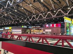 -谢列梅捷沃国际机场