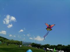 -玉渡山自然风景区