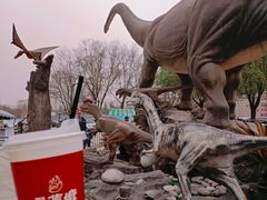 -陕西自然博物馆