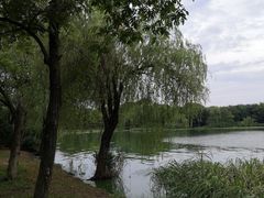 -高子水居