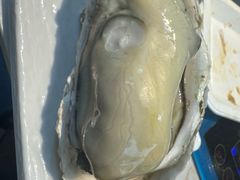 -争先鲜·蒸汽海鲜自助·鲜切牛肉