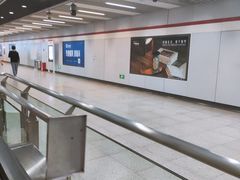 -桃浦新村(地铁站)