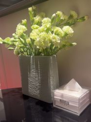 -尊尚柏丽美容SPA