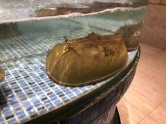 -胖大嫂渔家排档·全海景餐厅(渔村店)