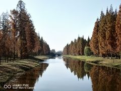 -黄海国家森林公园