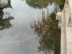 -东山雕花楼